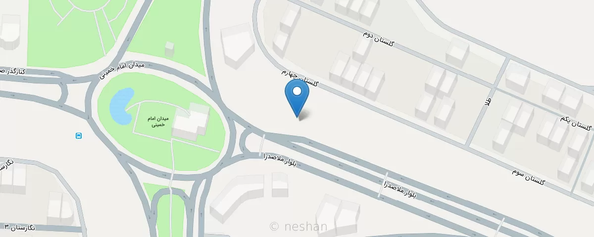 تصویر دکتر دینا مریدی