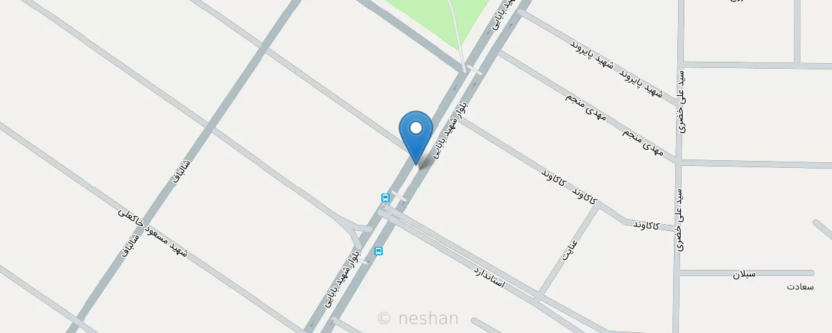 تصویر دکتر طاهره طباطبایی